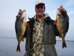 Рыбалка на таежном озере Окуневое славится крупным окунем.
