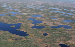 Трофейная рыбалка в Томской области на таежных озерах.