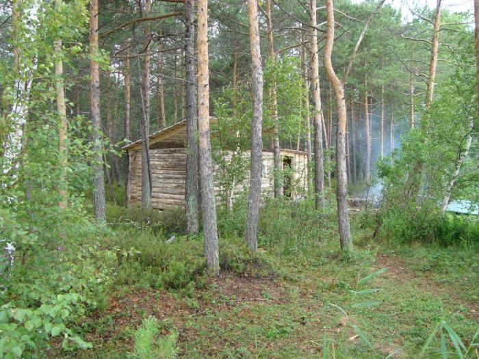 Рыбалка в Сибири озеро Тенис