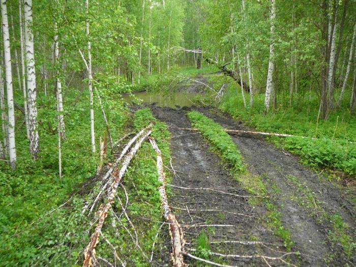 Рыбалка в Сибири озеро Тенис