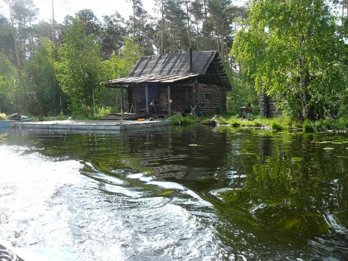 Клёв окуня и карася на озере Тенис. Рыбалка озеро Тенис, Усть-Логатка, Омская область, 2021