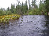Рыбалка Красноярский край Рыбалка Красноярский край
