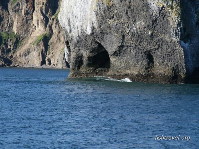 Морские прогулки по Авачинскому заливу