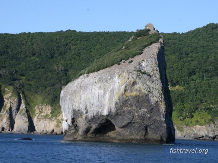 Морские прогулки по Авачинскому заливу