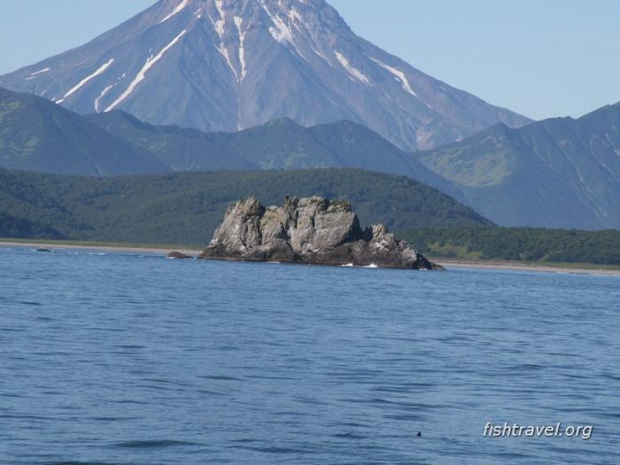 Морская рыбалка на Камчатке 