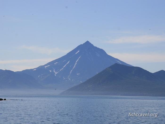 Морская рыбалка Камчатка