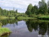 Красота и лепота Красота и лепота