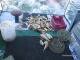 Рыбалка и активный отдых на Байкале