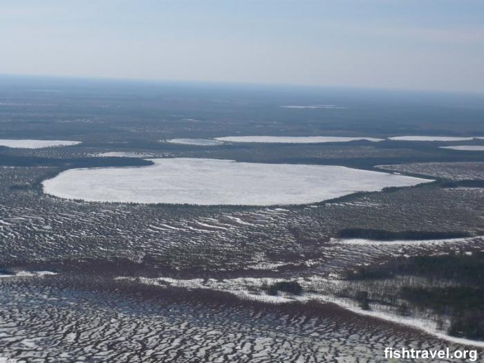 Зимняя рыбалка в Томской области.