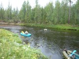 Сплав Сплав