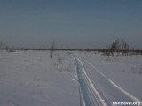 Зимняя рыбалка в Новосибирской и Томской области.