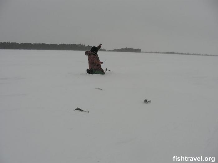 Зимняя рыбалка в Новосибирской области.