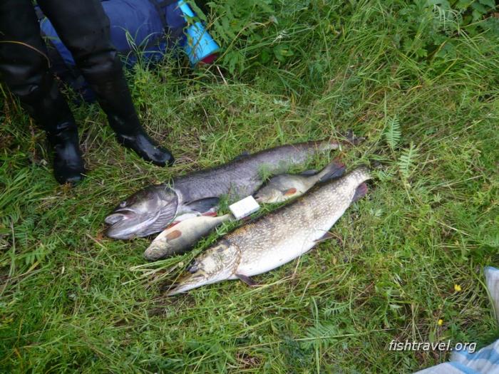Рыболовный тур Красноярск