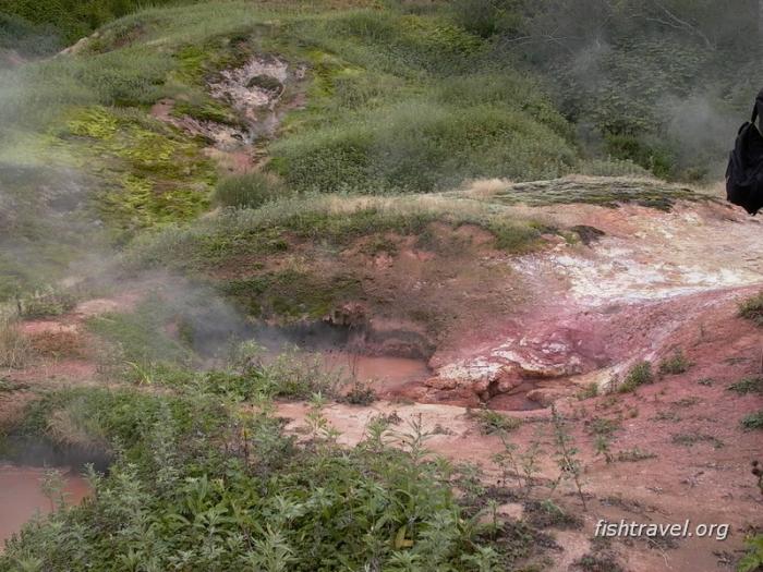 в Долине Гейзеров на Камчатке