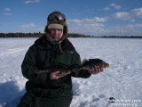Крупный окунь. Рыбалка в Томской области. Крупный окунь. Рыбалка в Томской области.