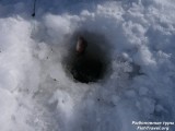 Рыбалка в Томской области. Рыбалка в Томской области.