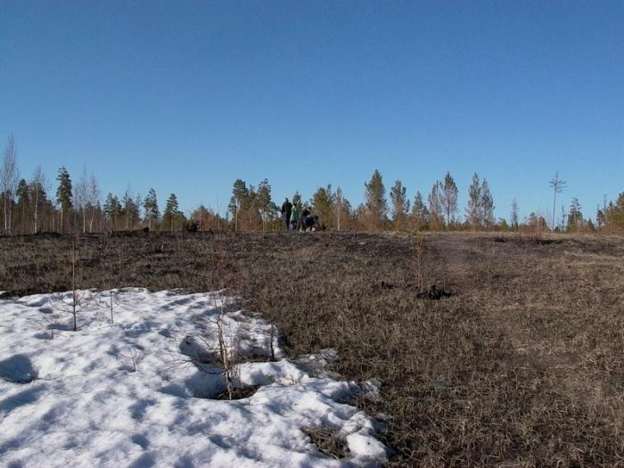 Зимняя рыбалка в Томской области