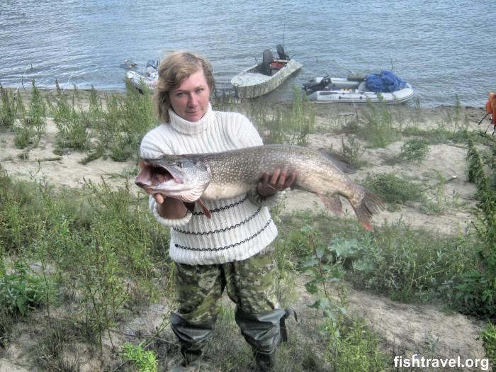 Рыбалка на реке Обь в Колпашевском районе Томской области. Щука 9 450 гр.