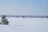 База отдыха Клевое место. Прокатиться с ветерком на снегоходе по свежему искристому снегу огромное удовольствие.
