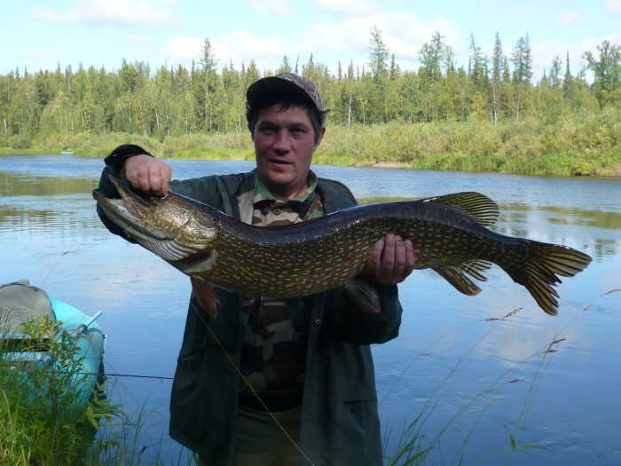 Рыбалка на севере Красноярского края: маршруты, снаряжение, советы