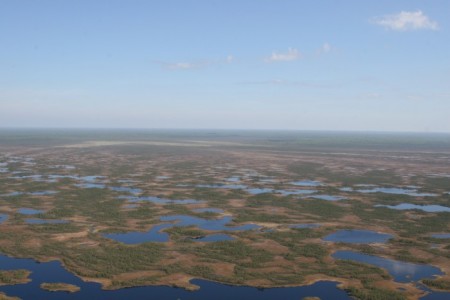 Васюганская равнина.